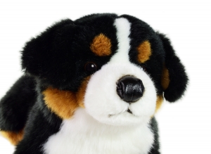 Berner Sennenhund liegend 45 cm